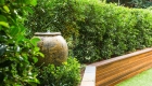 Tim Samuel Design | Croydon Garden and Landscape