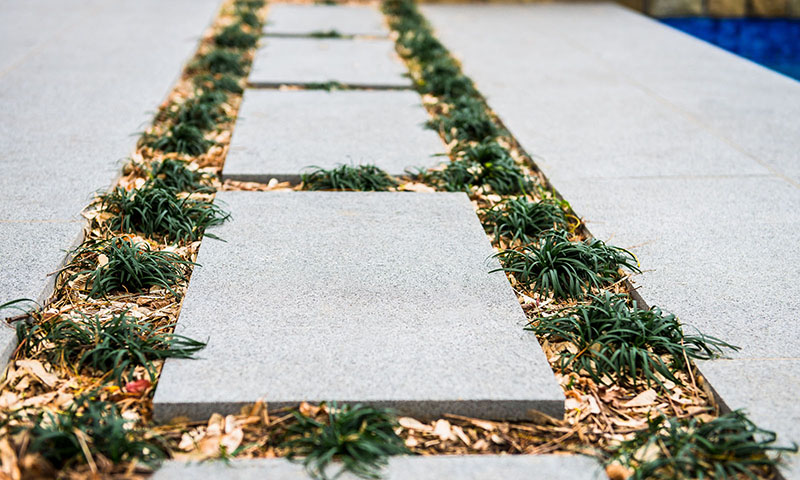 Tim Samuel Design | Ryde Swimming Pool