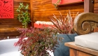 Tim Samuel Design | Outdoor Room Strathfield