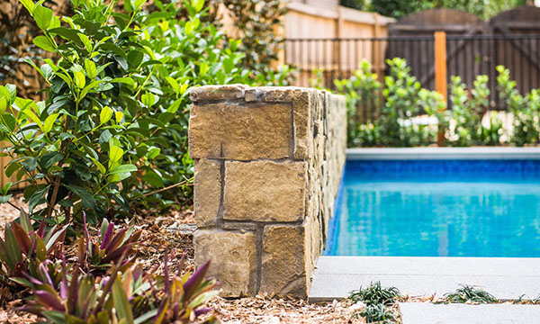 Tim Samuel Design | Ryde Swimming Pool